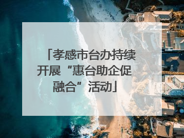 孝感市台办持续开展“惠台助企促融合”活动