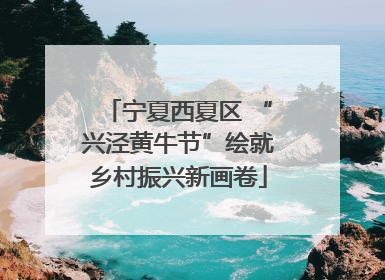 宁夏西夏区 “兴泾黄牛节”绘就乡村振兴新画卷