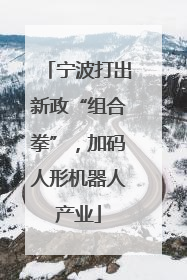 宁波打出新政“组合拳”，加码人形机器人产业