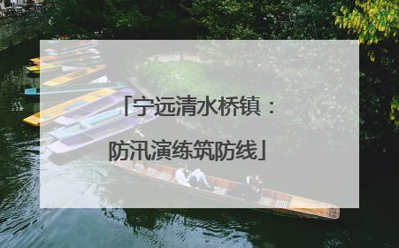 宁远清水桥镇：防汛演练筑防线