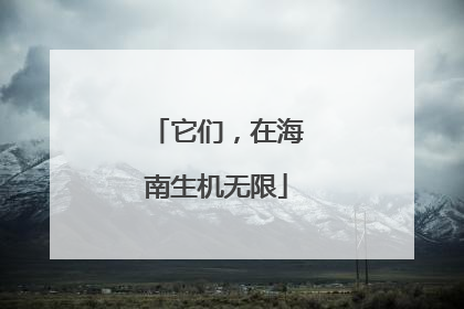 它们，在海南生机无限