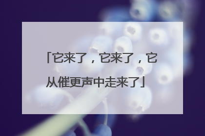 它来了，它来了，它从催更声中走来了