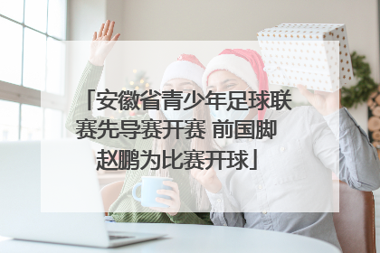 安徽省青少年足球联赛先导赛开赛 前国脚赵鹏为比赛开球