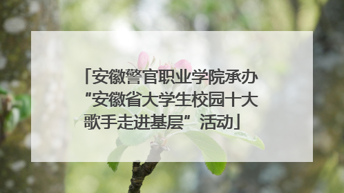 安徽警官职业学院承办“安徽省大学生校园十大歌手走进基层”活动