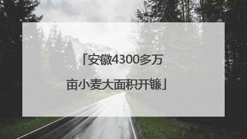 安徽4300多万亩小麦大面积开镰