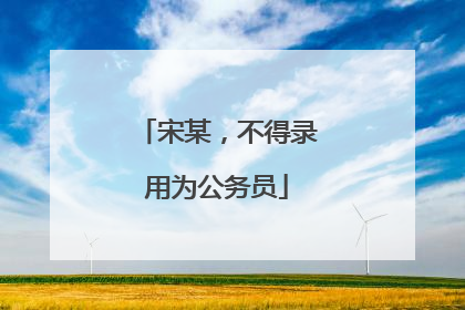 宋某，不得录用为公务员