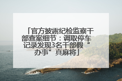 官方披露纪检监察干部查案细节：调取停车记录发现3名干部假“办事”真麻将