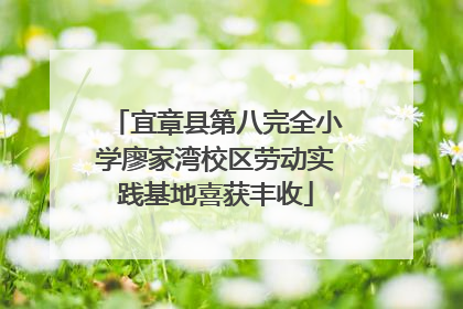 宜章县第八完全小学廖家湾校区劳动实践基地喜获丰收