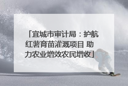 宜城市审计局：护航红薯育苗灌溉项目 助力农业增效农民增收