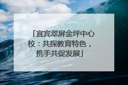 宜宾翠屏金坪中心校：共探教育特色，携手共促发展