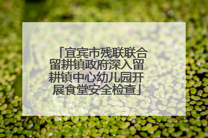 宜宾市残联联合留耕镇政府深入留耕镇中心幼儿园开展食堂安全检查