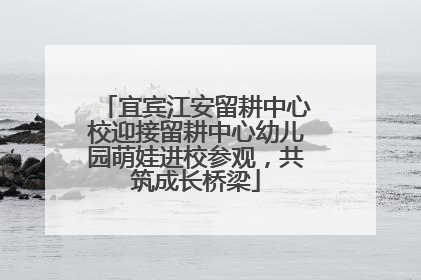 宜宾江安留耕中心校迎接留耕中心幼儿园萌娃进校参观，共筑成长桥梁