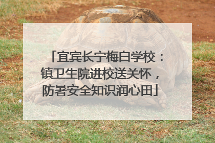 宜宾长宁梅白学校：镇卫生院进校送关怀，防暑安全知识润心田
