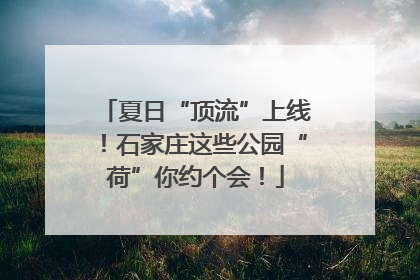 夏日“顶流”上线！石家庄这些公园“荷”你约个会！