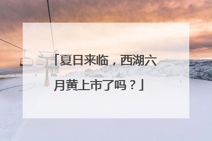 夏日来临，西湖六月黄上市了吗？