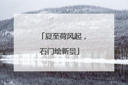 夏至荷风起，石门绘新景