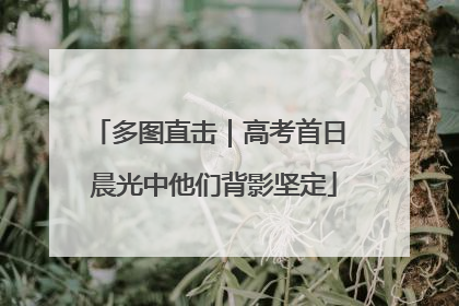 多图直击｜高考首日 晨光中他们背影坚定