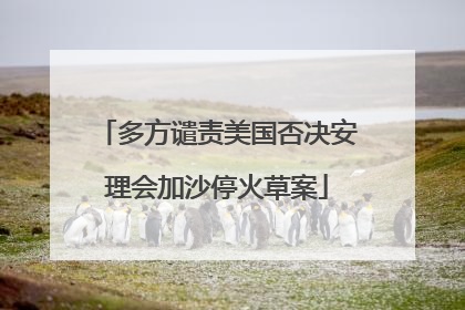 多方谴责美国否决安理会加沙停火草案