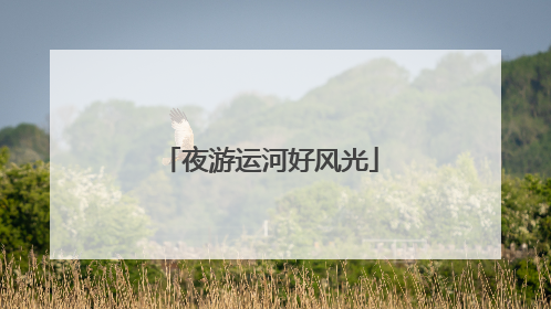 夜游运河好风光
