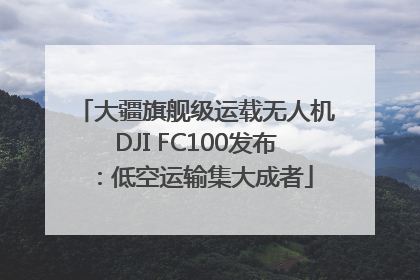 大疆旗舰级运载无人机DJI FC100发布：低空运输集大成者