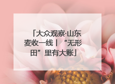大众观察·山东麦收一线丨“无形田”里有大账