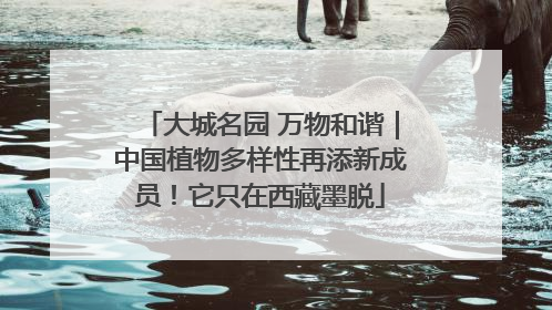 大城名园 万物和谐｜中国植物多样性再添新成员！它只在西藏墨脱