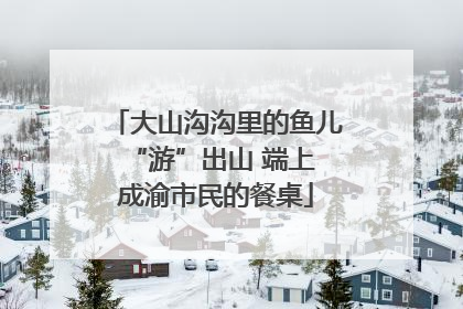 大山沟沟里的鱼儿 “游”出山 端上成渝市民的餐桌