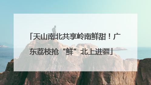 天山南北共享岭南鲜甜！广东荔枝抢“鲜”北上进疆