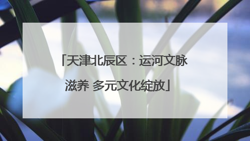 天津北辰区：运河文脉滋养 多元文化绽放