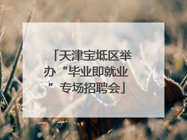 天津宝坻区举办“毕业即就业”专场招聘会