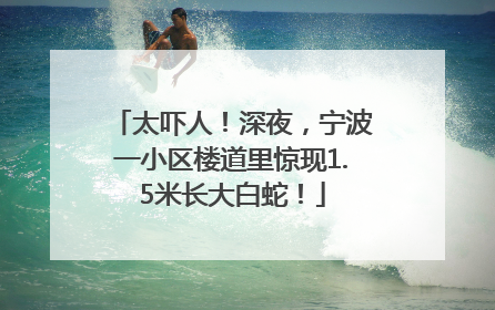 太吓人！深夜，宁波一小区楼道里惊现1.5米长大白蛇！