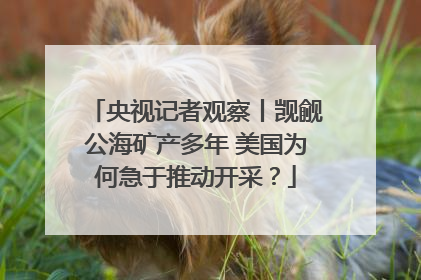 央视记者观察丨觊觎公海矿产多年 美国为何急于推动开采？