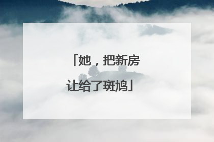 她，把新房让给了斑鸠