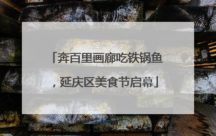 奔百里画廊吃铁锅鱼，延庆区美食节启幕
