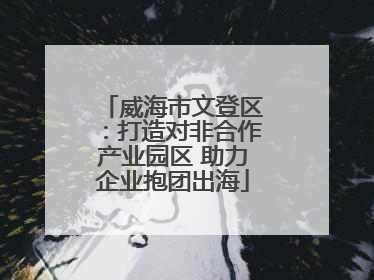威海市文登区：打造对非合作产业园区 助力企业抱团出海