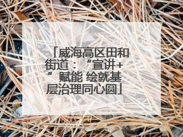 威海高区田和街道：“宣讲+”赋能 绘就基层治理同心圆