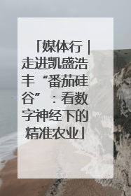 媒体行｜走进凯盛浩丰“番茄硅谷”：看数字神经下的精准农业