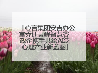心言集团安吉办公室乔迁灵峰智慧谷 政企携手共绘AI泛心理产业新蓝图