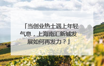 当创业热土遇上年轻气息，上海南汇新城发展如何再发力？
