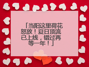 当阳这里荷花怒放！夏日顶流已上线，错过再等一年！