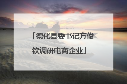 德化县委书记方俊钦调研电商企业