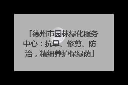 德州市园林绿化服务中心：抗旱、修剪、防治，精细养护保绿荫