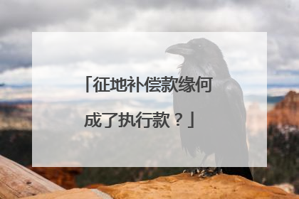 征地补偿款缘何成了执行款？