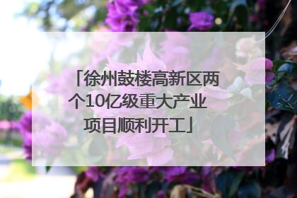 徐州鼓楼高新区两个10亿级重大产业项目顺利开工