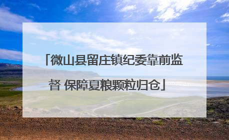 微山县留庄镇纪委靠前监督 保障夏粮颗粒归仓
