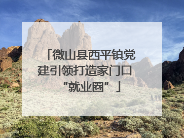 微山县西平镇党建引领打造家门口“就业圈”