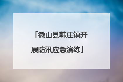 微山县韩庄镇开展防汛应急演练