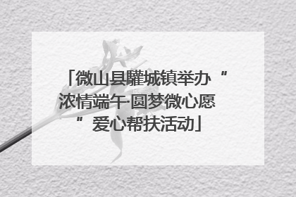 微山县驩城镇举办“浓情端午·圆梦微心愿”爱心帮扶活动