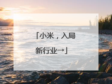 小米，入局新行业→