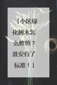 小区绿化树木怎么修剪？淮安有了标准！